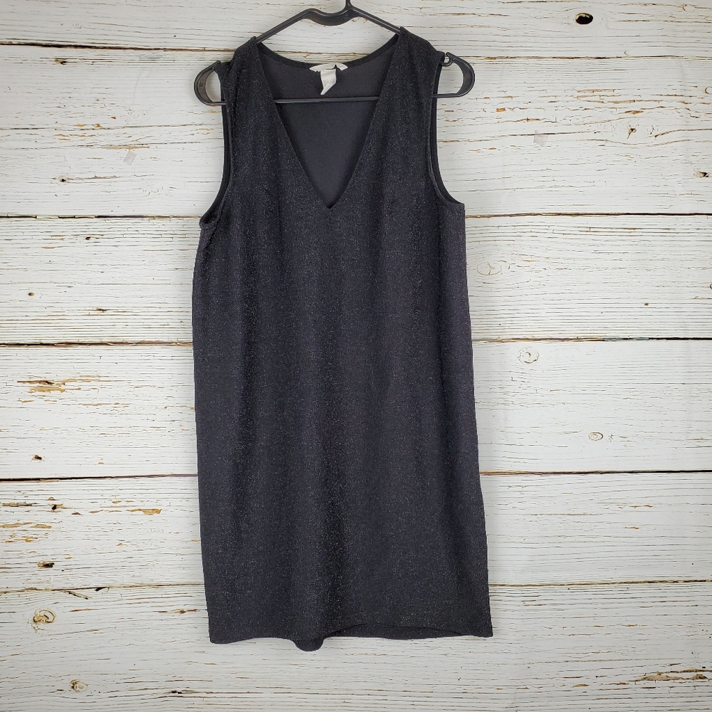 H&M Shimmery Sleeveless Dress